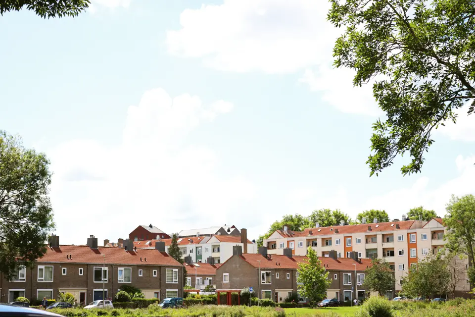 Rijtjeshuizen in een woonwijk aan de rand van een weiland